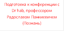 Подготовка к конференции с Dr hab, профессором  Радославом Панкиевичем (Познань)